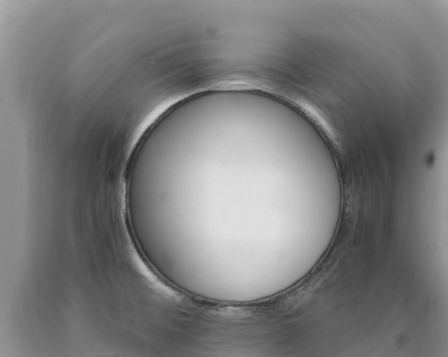 X0000090881476200707271005
