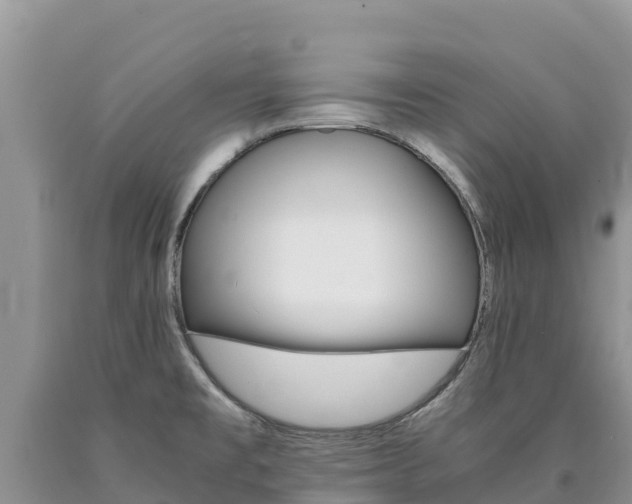X0000090881477200707271005