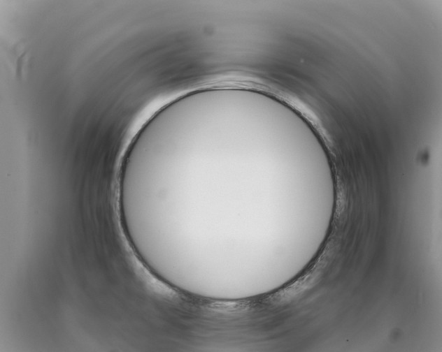 X0000090881478200707271005