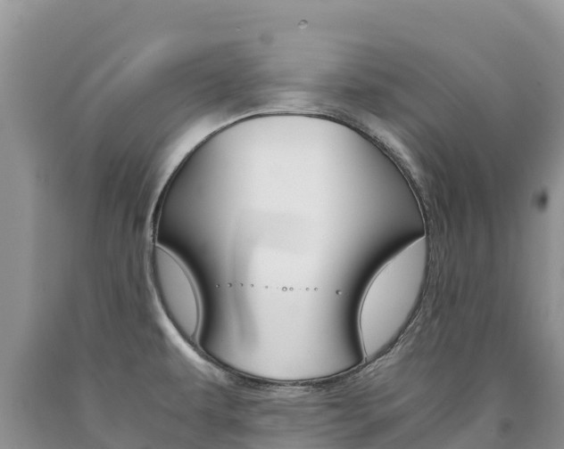 X0000090881479200707271005