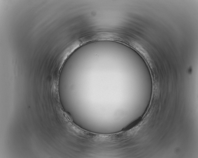 X0000090881481200707271005