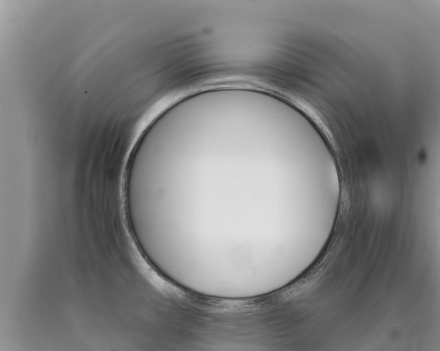 X0000090881482200707271005