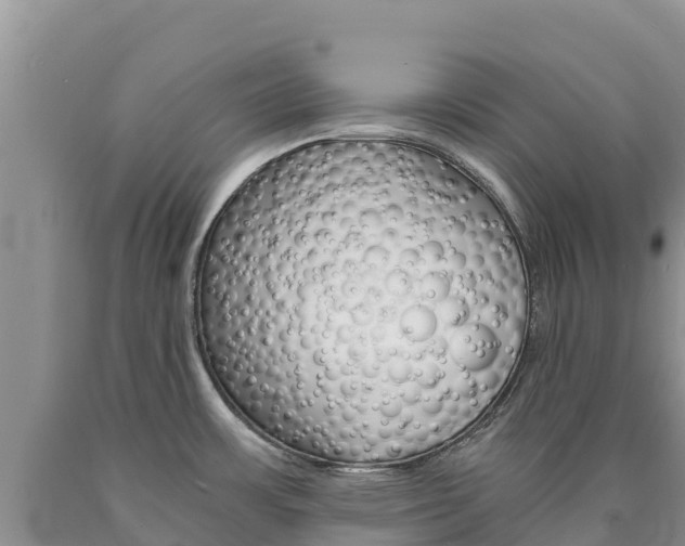 X0000090881483200707271005
