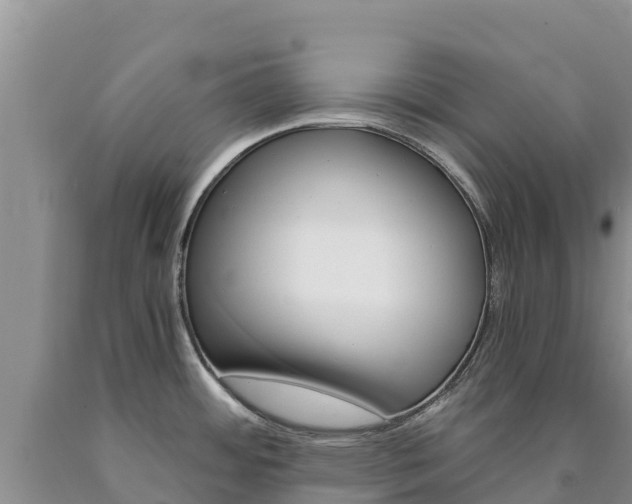 X0000090881484200707271005