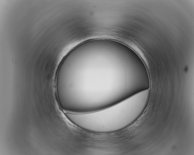 X0000090881485200707271005