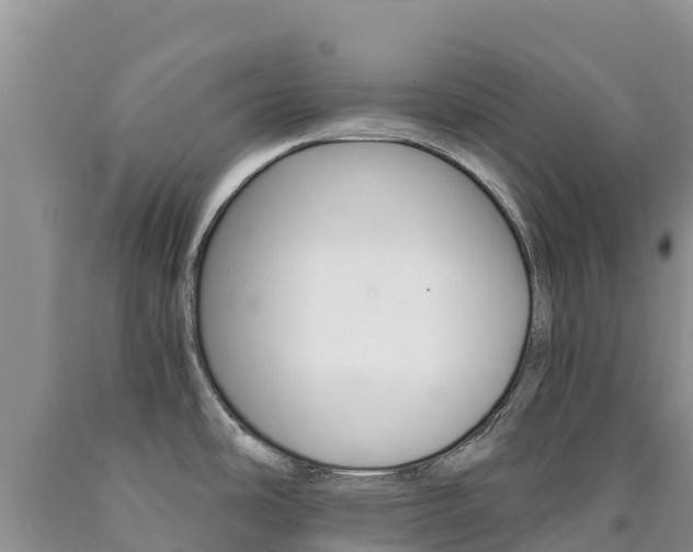 X0000090881486200707271005