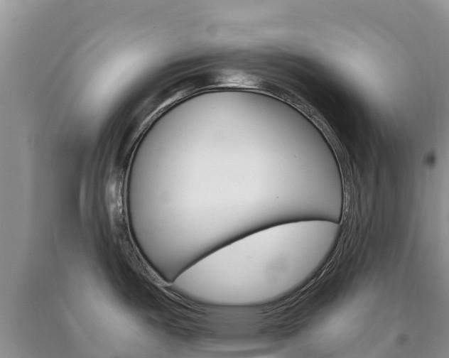 X0000090881487200707271005