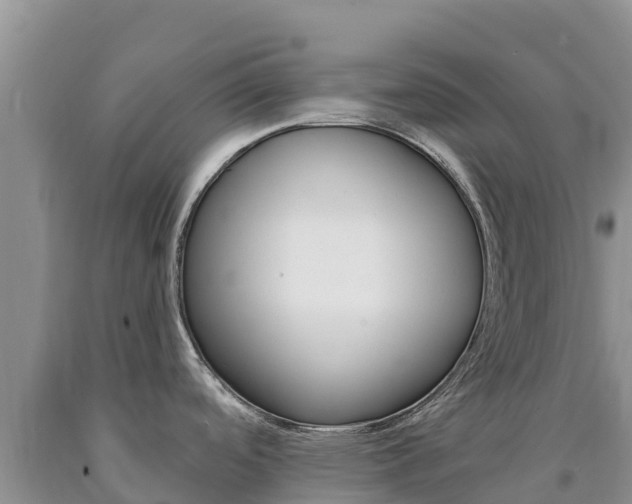 X0000090881488200707271005