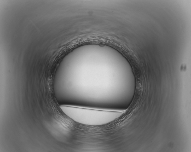 X0000090881490200707271005