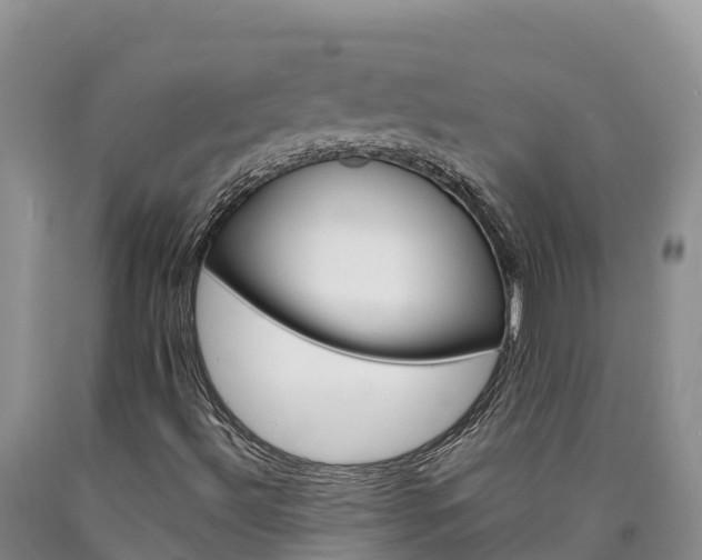 X0000090881492200707271005