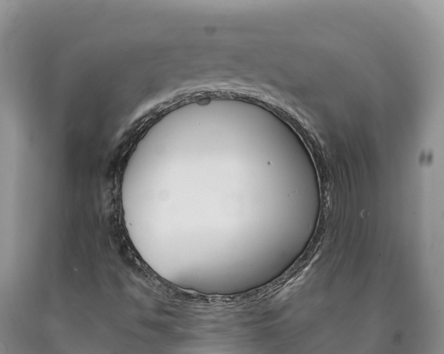 X0000090881494200707271005