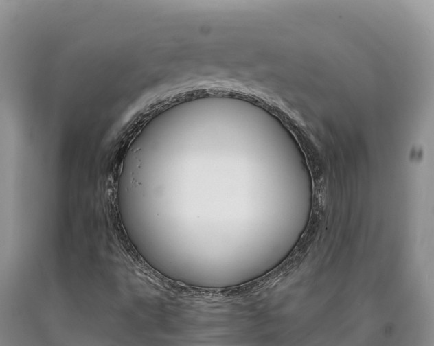 X0000090881495200707271005