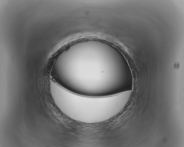 X0000090881496200707271005