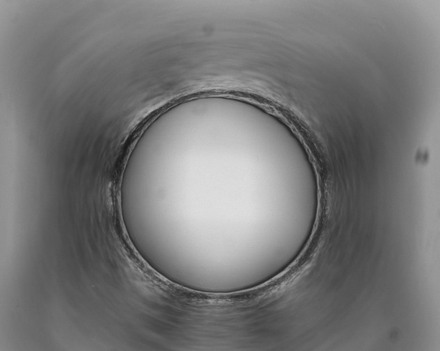 X0000090881497200707271005