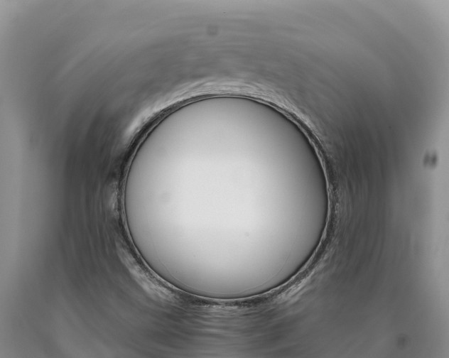 X0000090881499200707271005