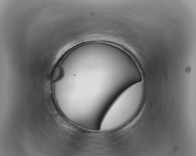 X0000090881501200707271005
