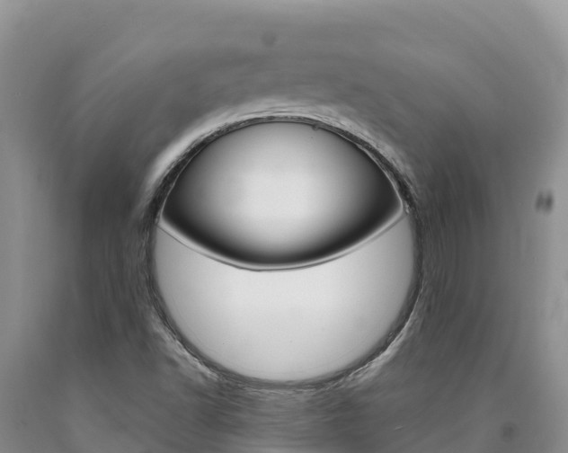 X0000090881502200707271005