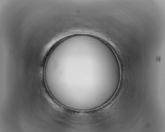 X0000090881503200707271005