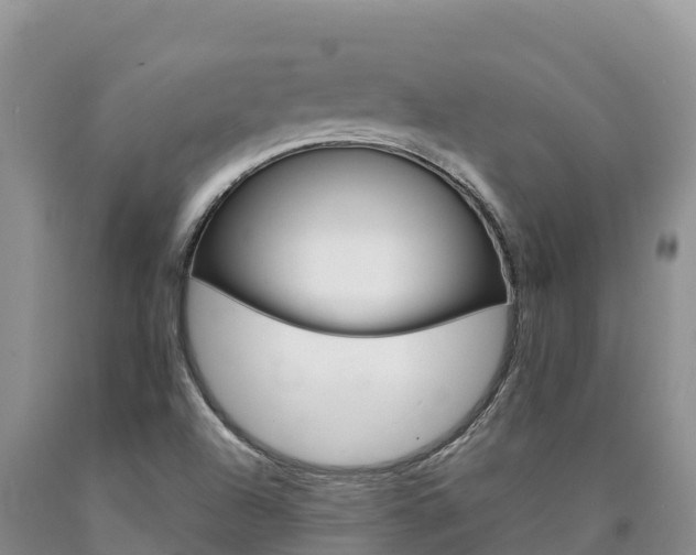 X0000090881504200707271005