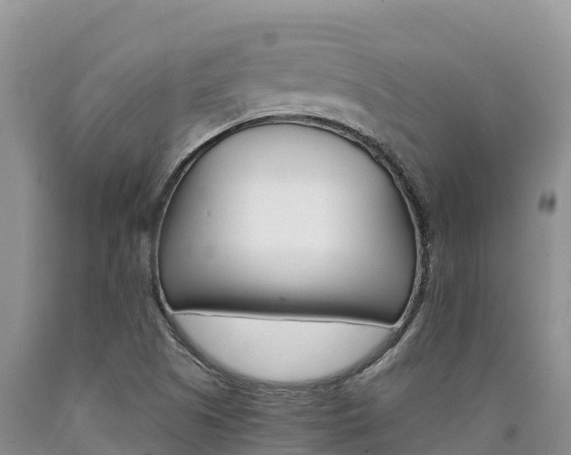 X0000090881505200707271005