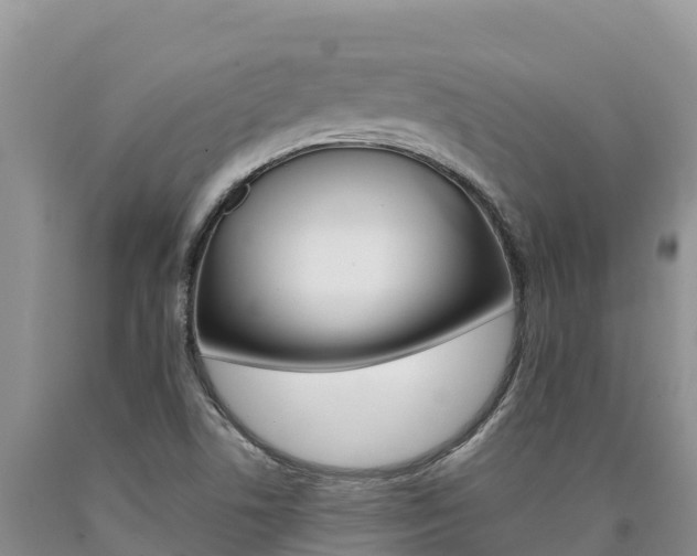 X0000090881506200707271005