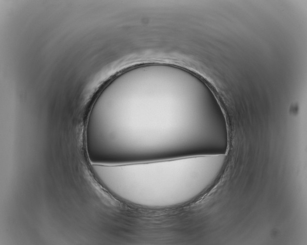 X0000090881507200707271005