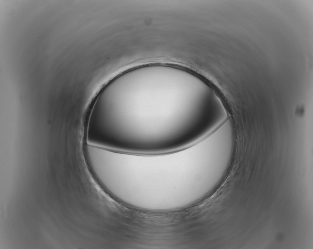 X0000090881508200707271005