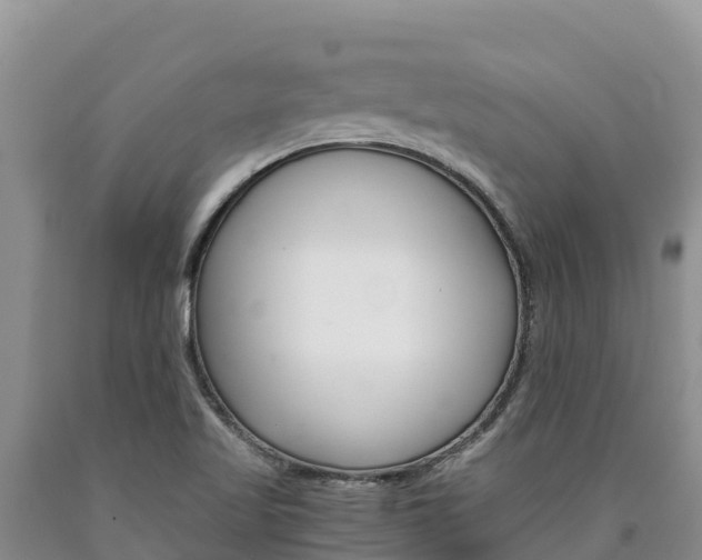 X0000090881509200707271005