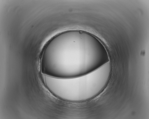 X0000090881510200707271005