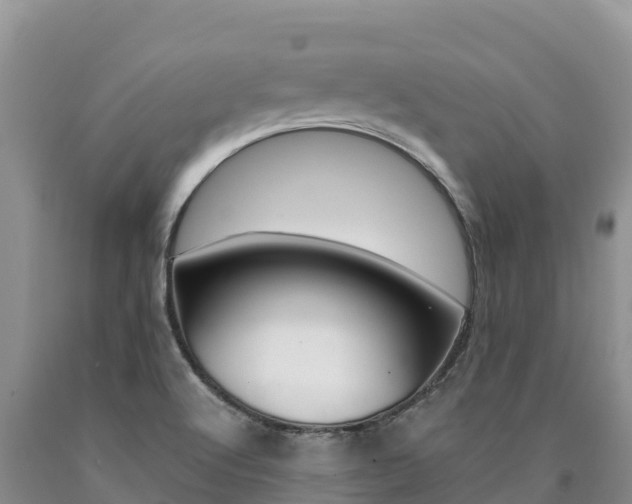 X0000090881512200707271005