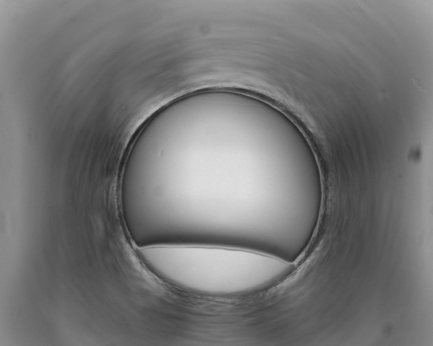 X0000090881513200707271005