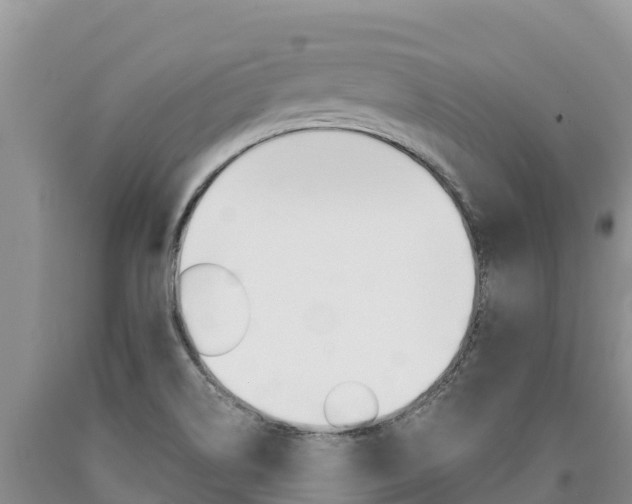 X0000090881514200707271005