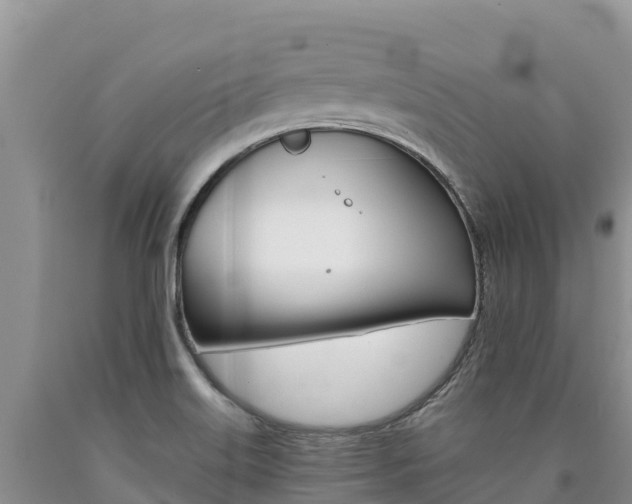X0000090881515200707271005