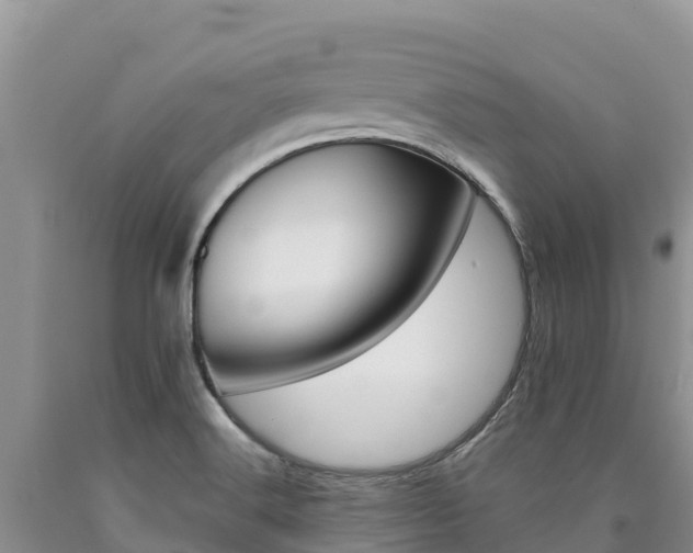 X0000090881516200707271005