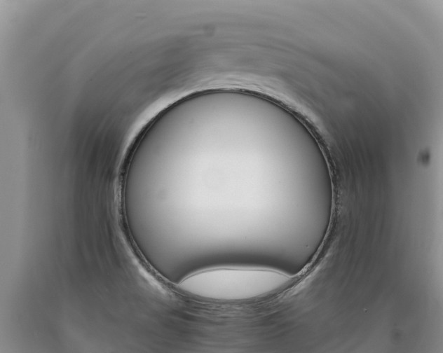X0000090881517200707271005