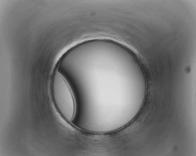 X0000090881518200707271005