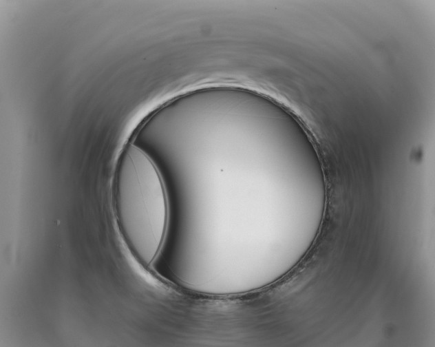 X0000090881519200707271005