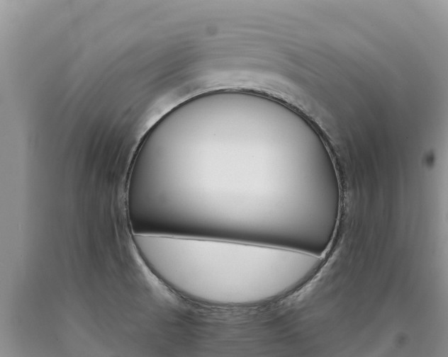 X0000090881521200707271005