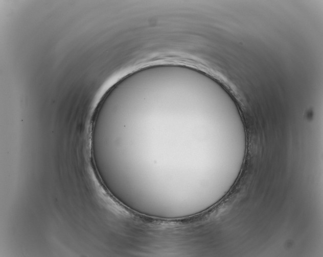 X0000090881522200707271005
