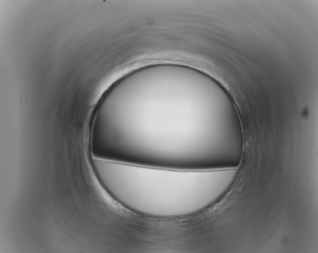 X0000090881523200707271005