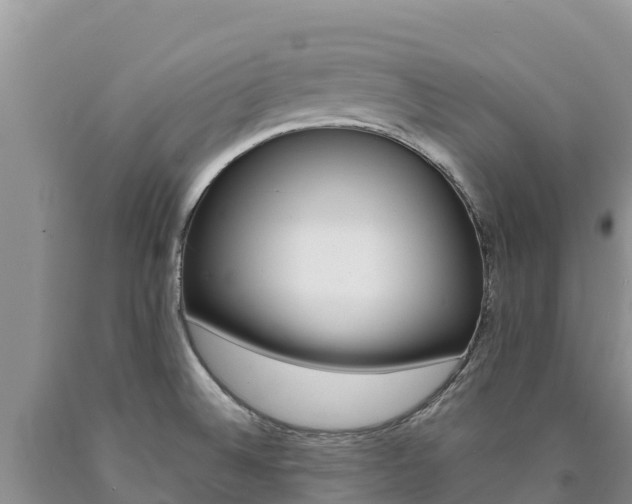 X0000090881524200707271005