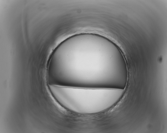 X0000090881525200707271005