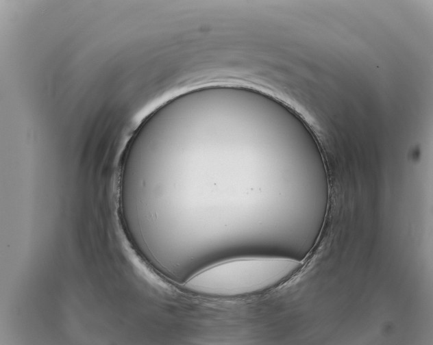 X0000090881526200707271005