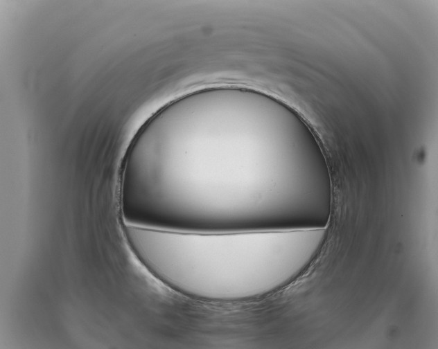 X0000090881527200707271005