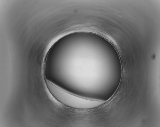 X0000090881528200707271005