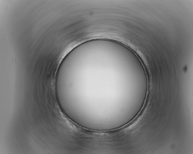 X0000090881529200707271005