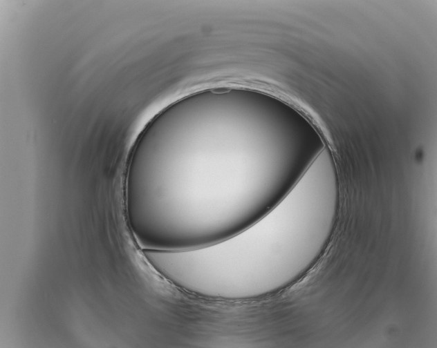 X0000090881530200707271005