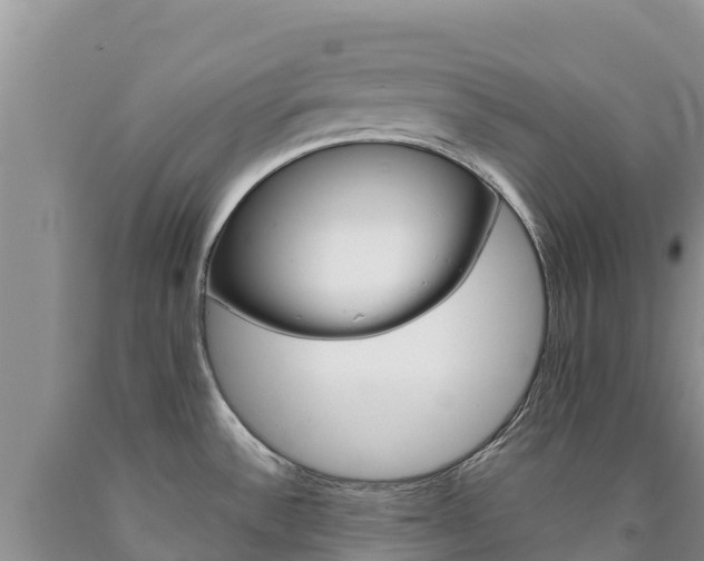 X0000090881532200707271005
