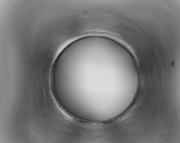 X0000090881533200707271005