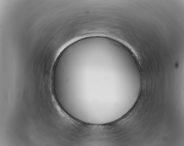 X0000090881534200707271005